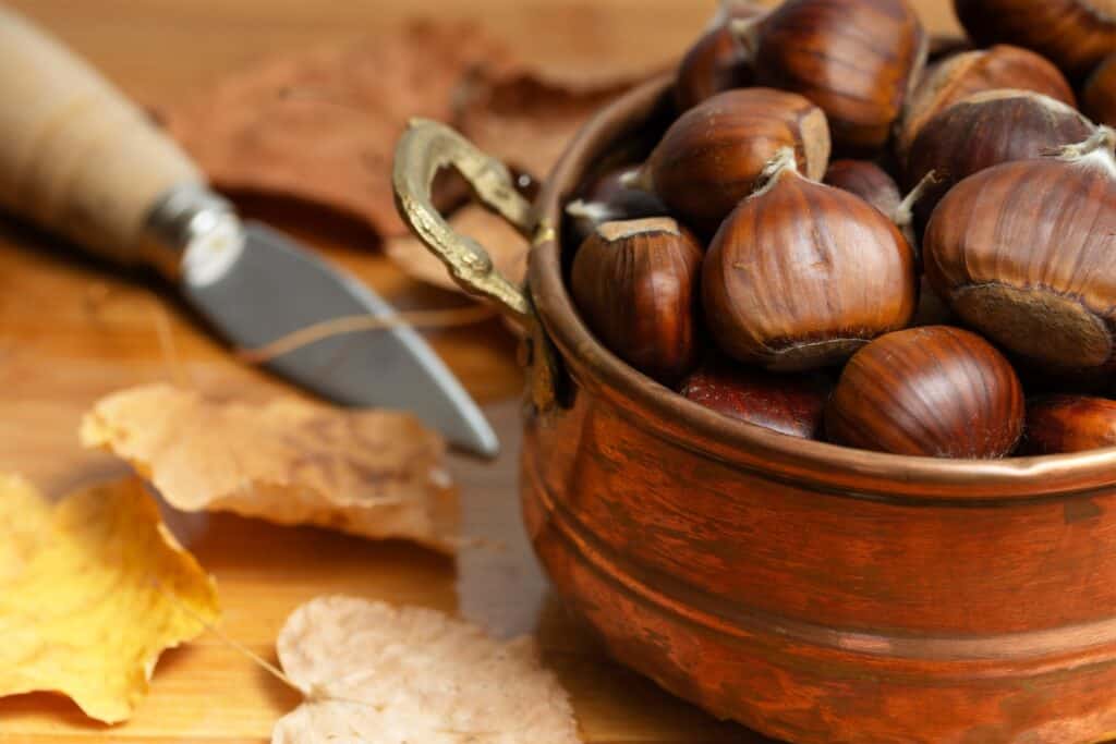 Abruzzo Chestnuts