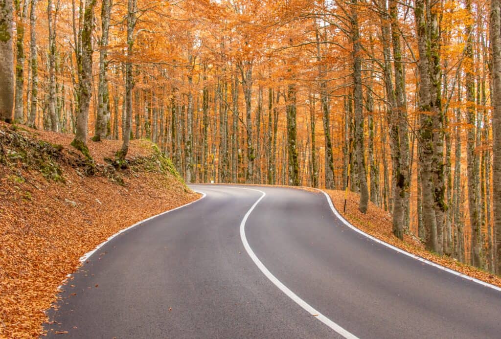 Weekend in Abruzzo Fall